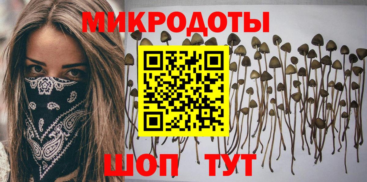 Малгобек  Галлюциногенные грибы прущие грибы  Вход с VPN  Галлюциногенные грибы Psilocybe 
